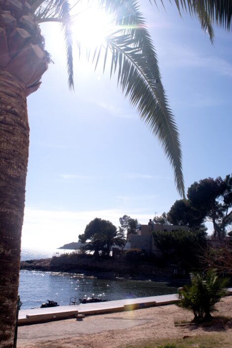 1-3 hour photo sessions Mallorca