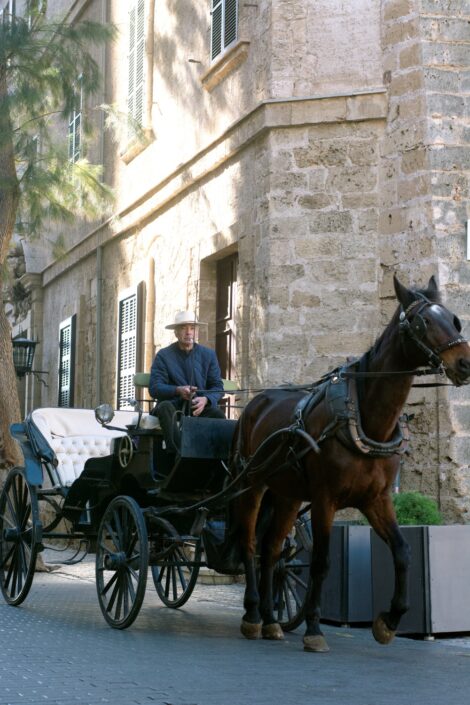 Holiday Photographer In Mallorca